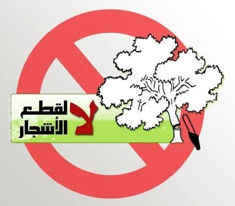 لا لقطع الأشجار - انذار 